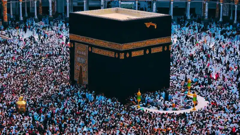 Wafdullah Travel Umroh & Haji